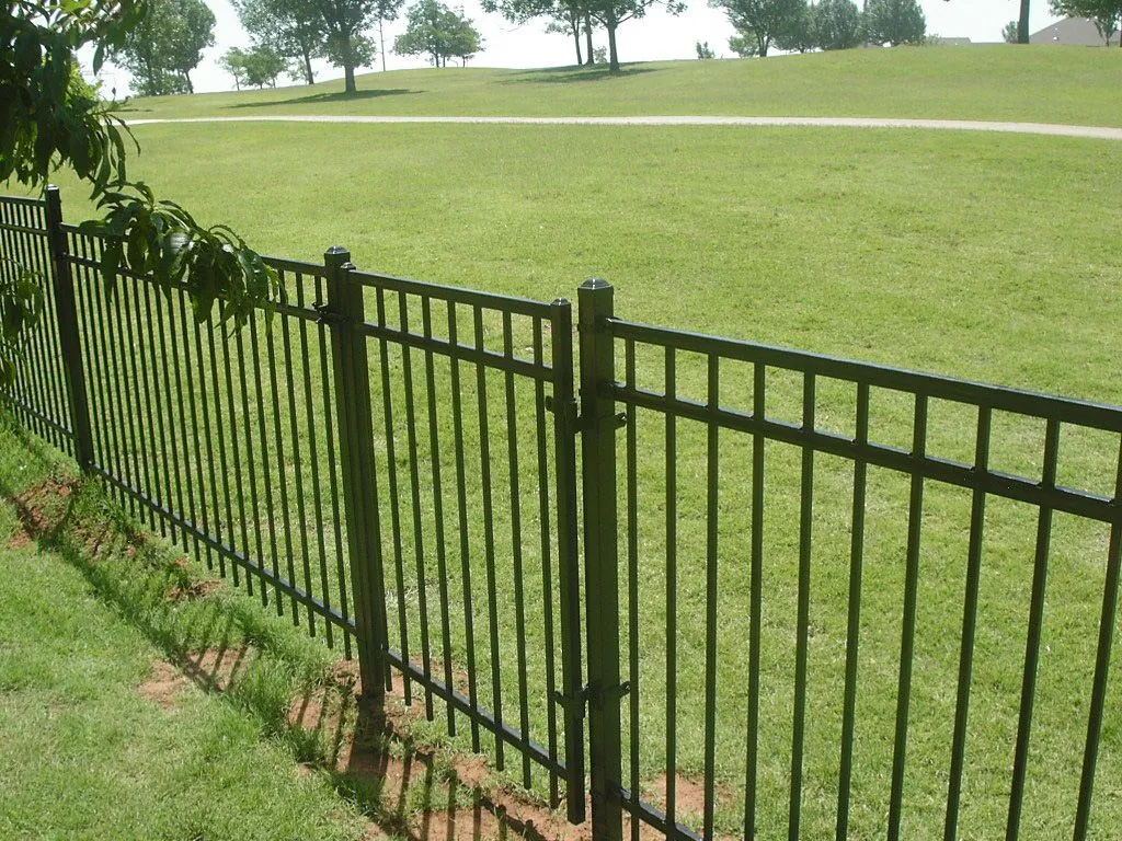 Iron Fence — Fence Max Texas project