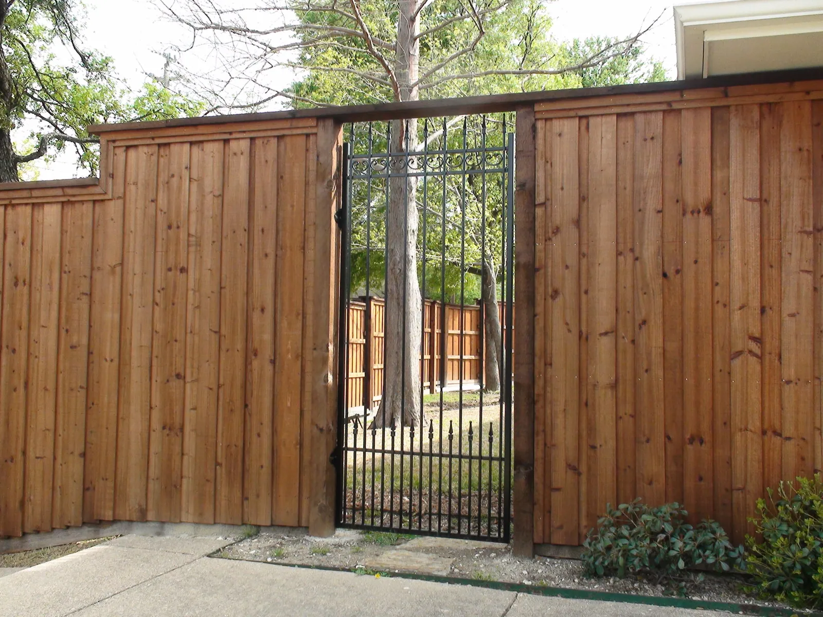 Custom iron walk in gate on b b wood fence — Fence Max Texas project