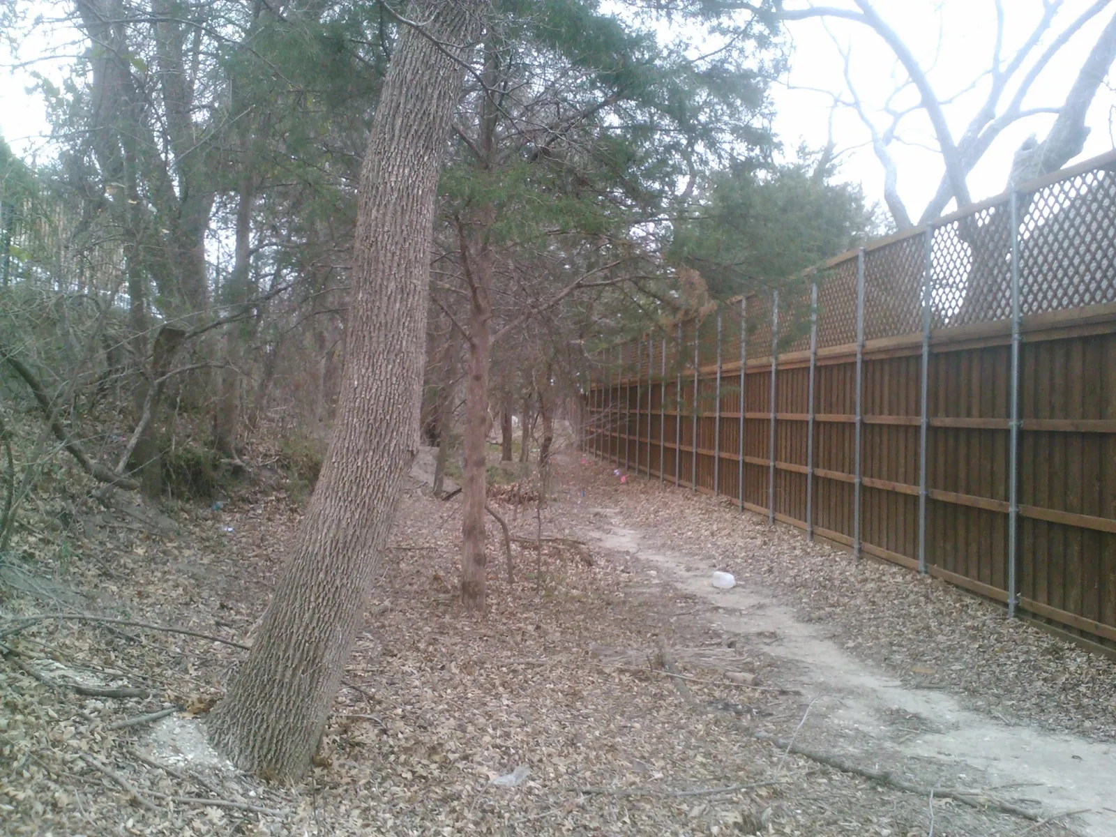 BB Fence with Lattice — Fence Max Texas project
