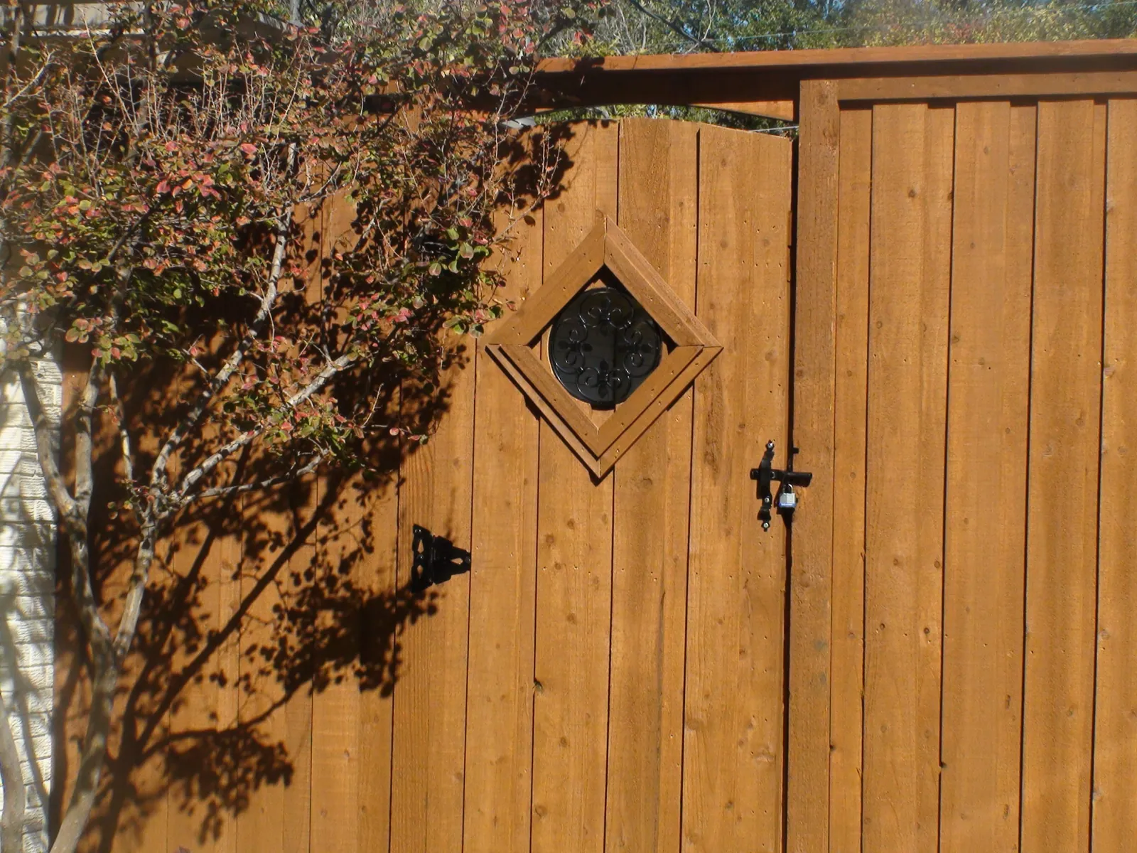 Wood gate see thru insert